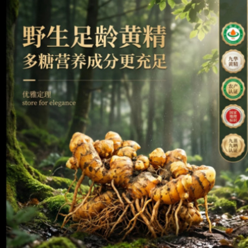 平台Banner展示2
